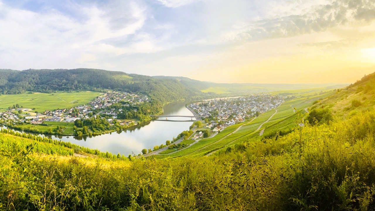 Солнечный вид на Меринг